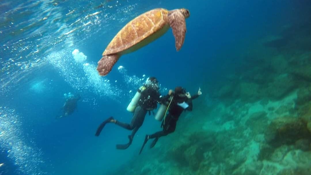 Af Dive