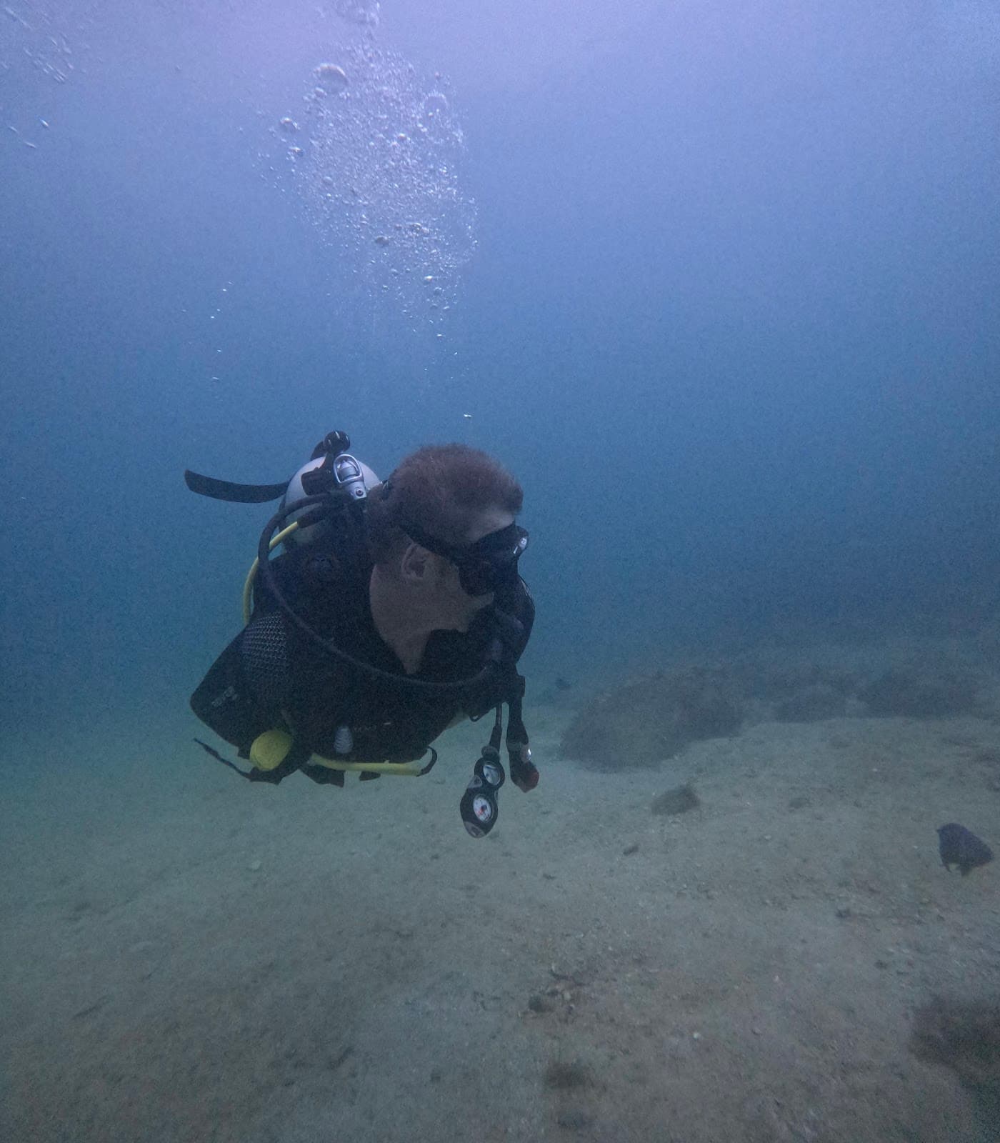 Natura Dive
