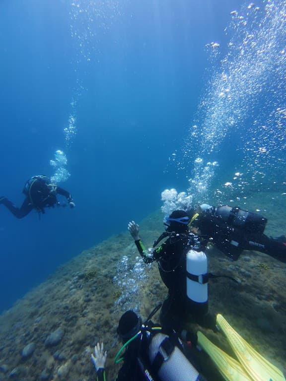 Bikini Dive