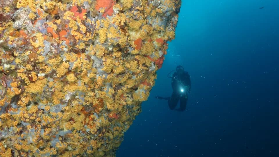Poseidon Diving Center