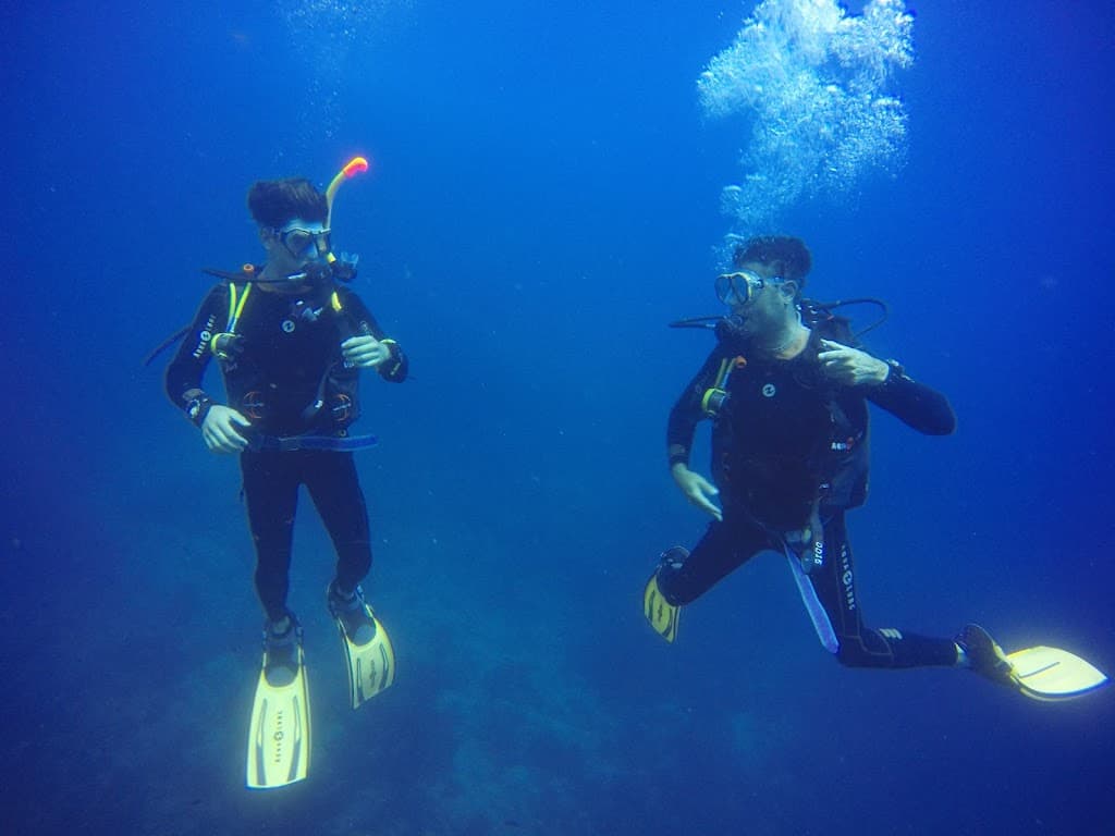 Dawn Diving