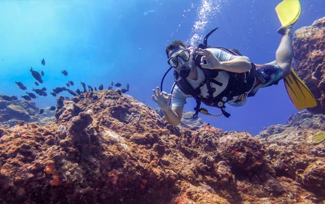 Las Palmeras Dive Center, Little Corn Island