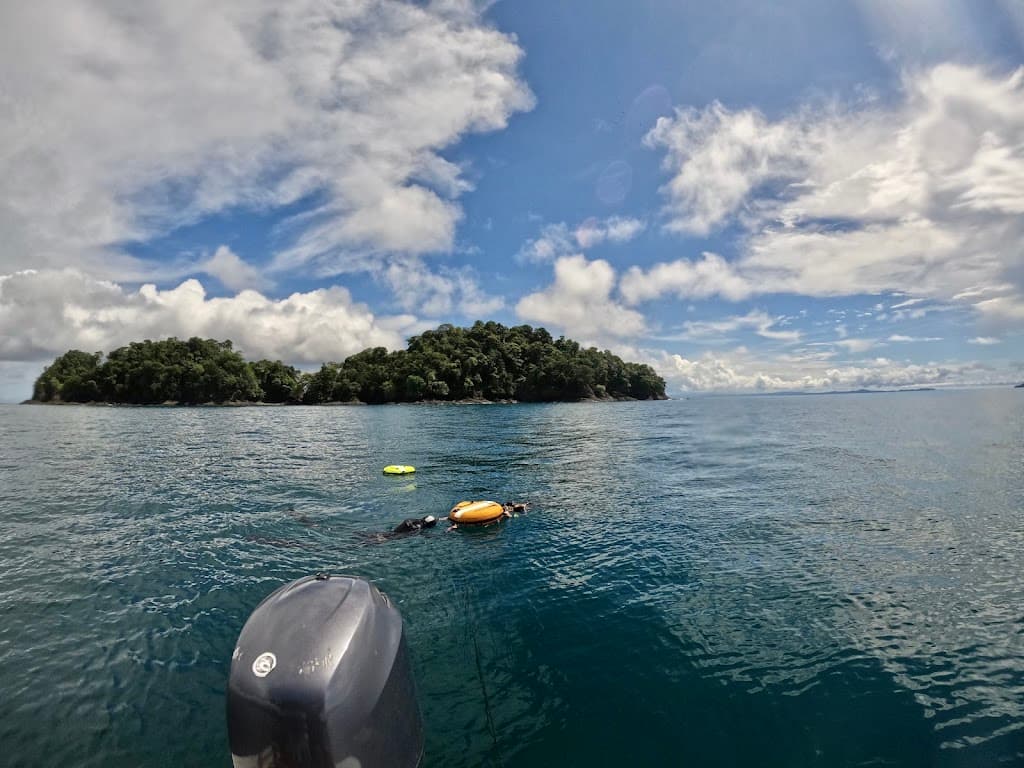 Panama Freediving