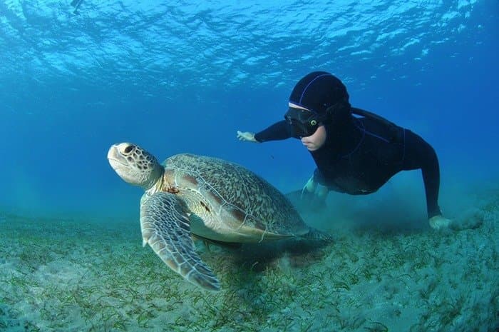 FreeDivingAcademy