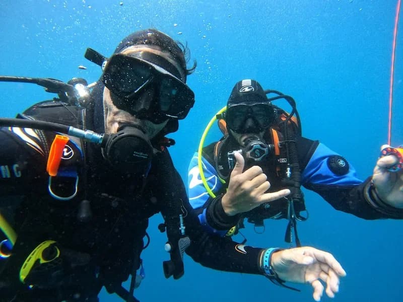 Pama Diving