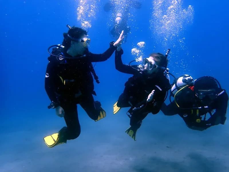 See You Diving