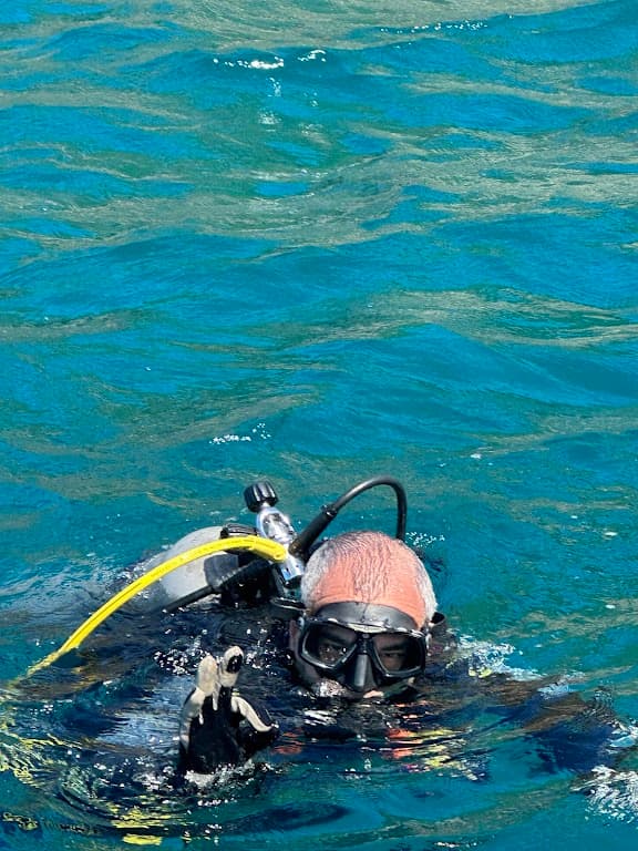 Snsi Aquatics Diving Center