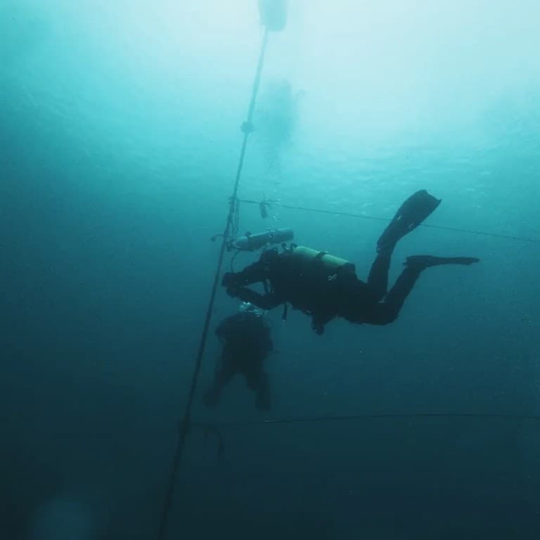 Dive Pro Academy Belgium