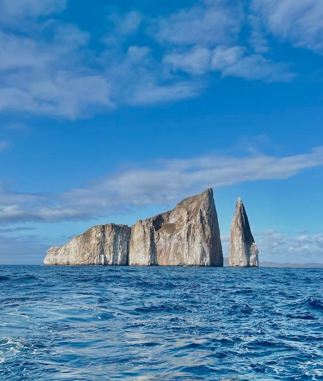 Blue Whale Dive Center