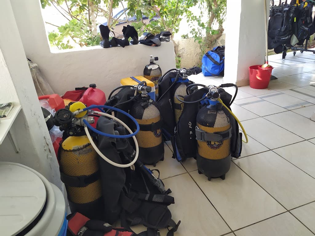 Blue Island Divers
