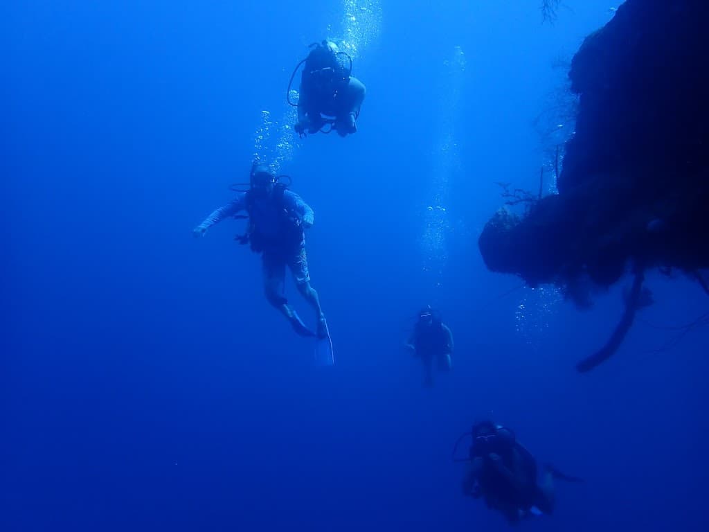Roatan Seaside Divers