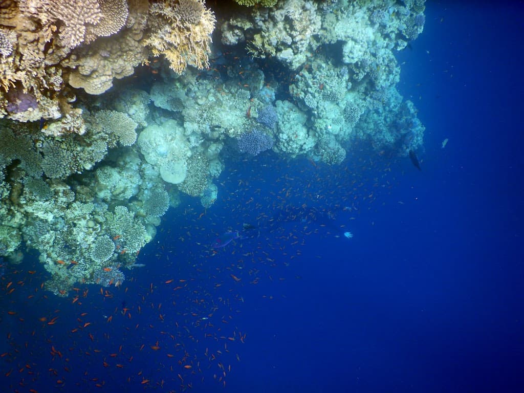Freediving Ireland
