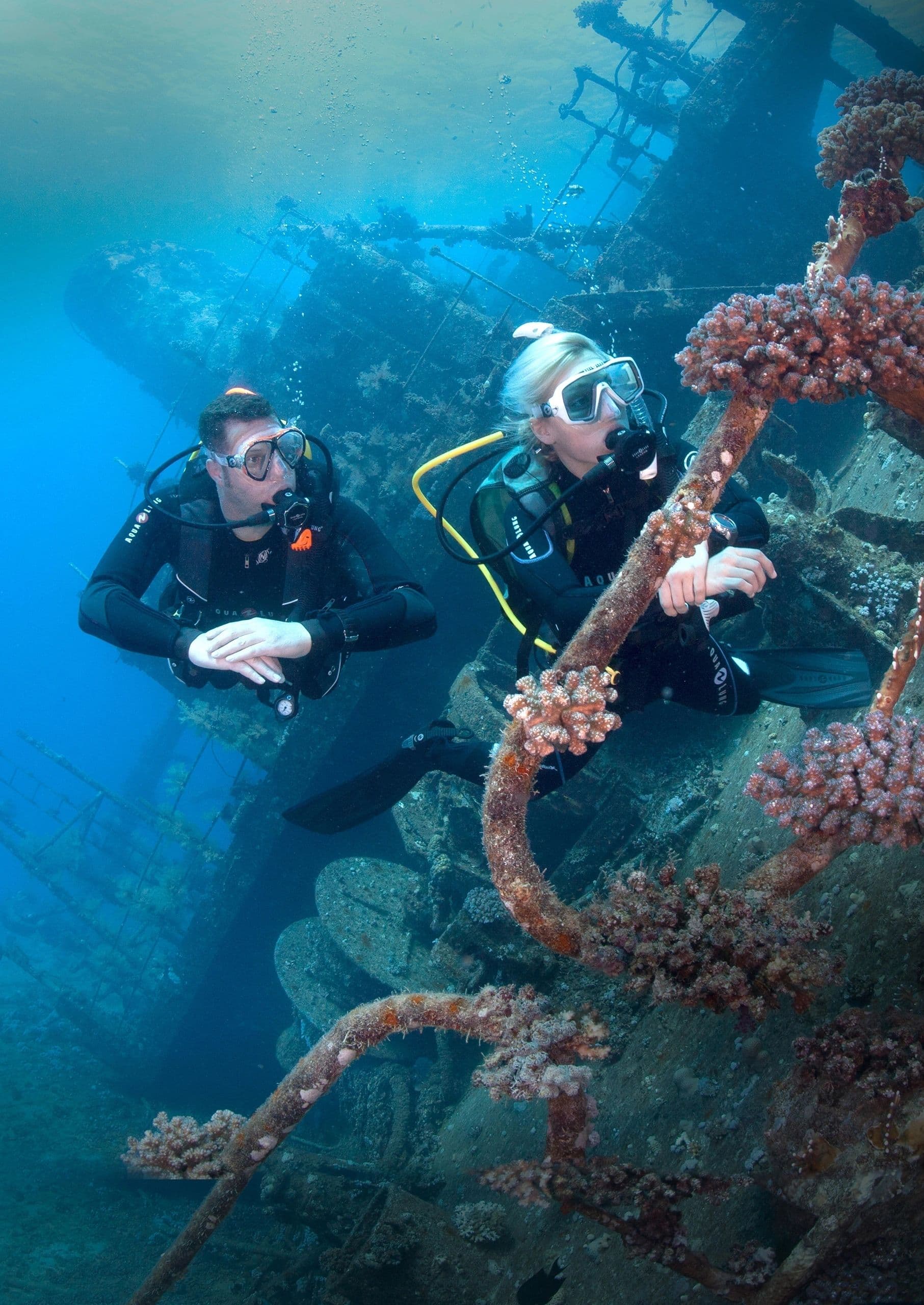 PADI Dive Festival 2026