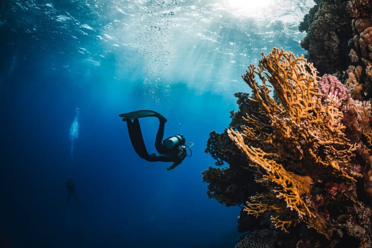 Scuba Show Anaheim 2027