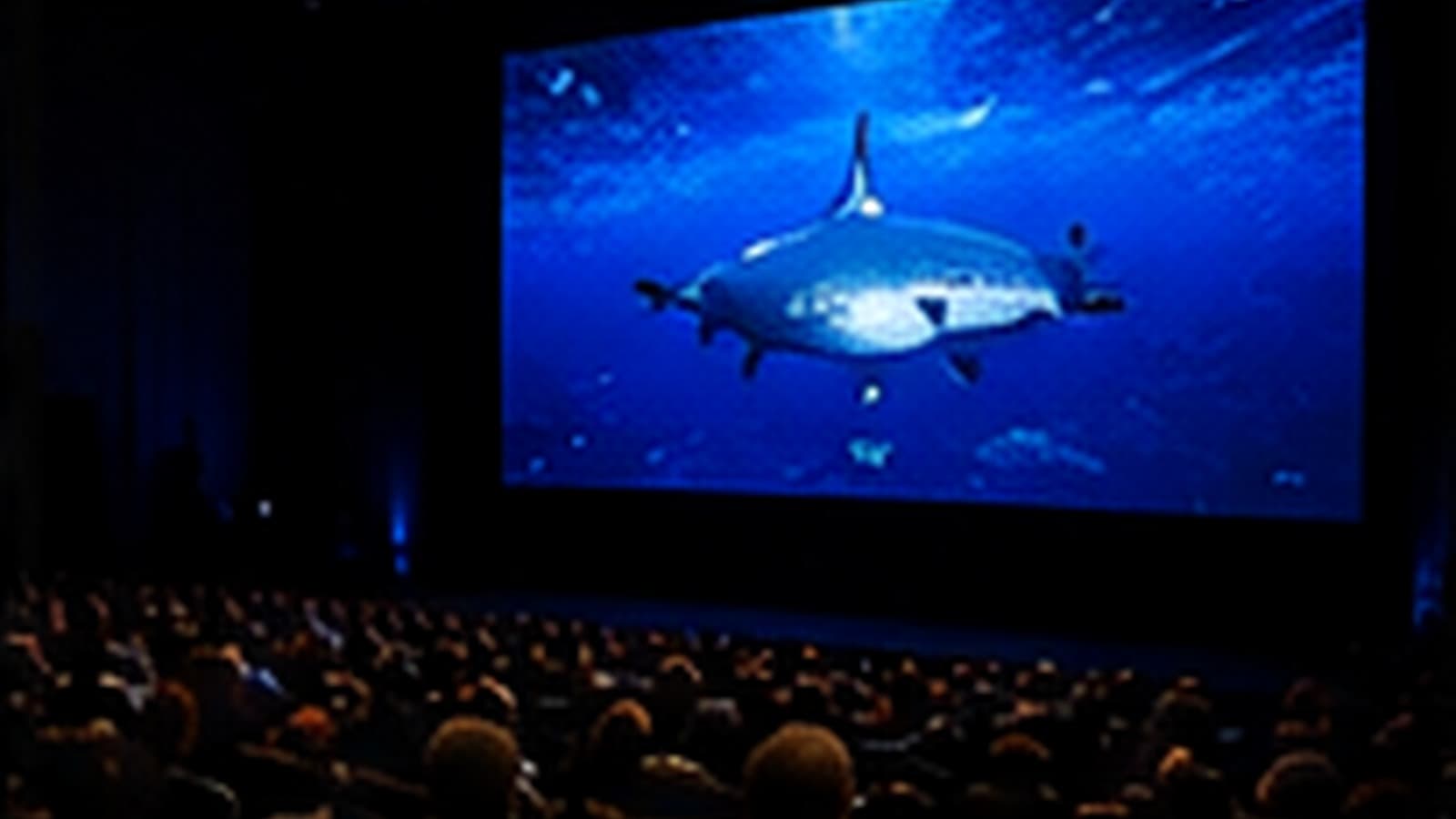 San Diego Undersea Film Exhibition 2026