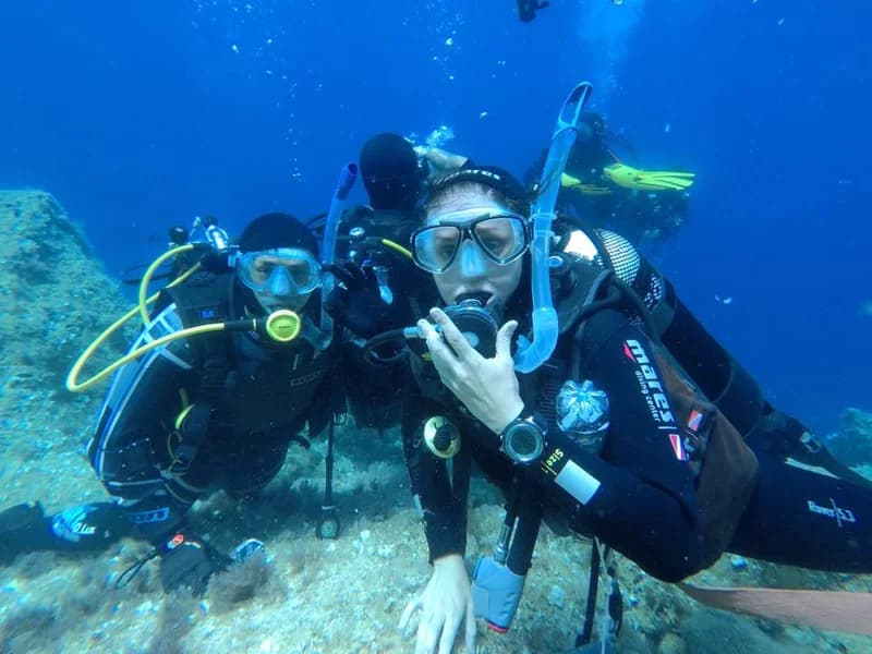 ASD Pro Diving