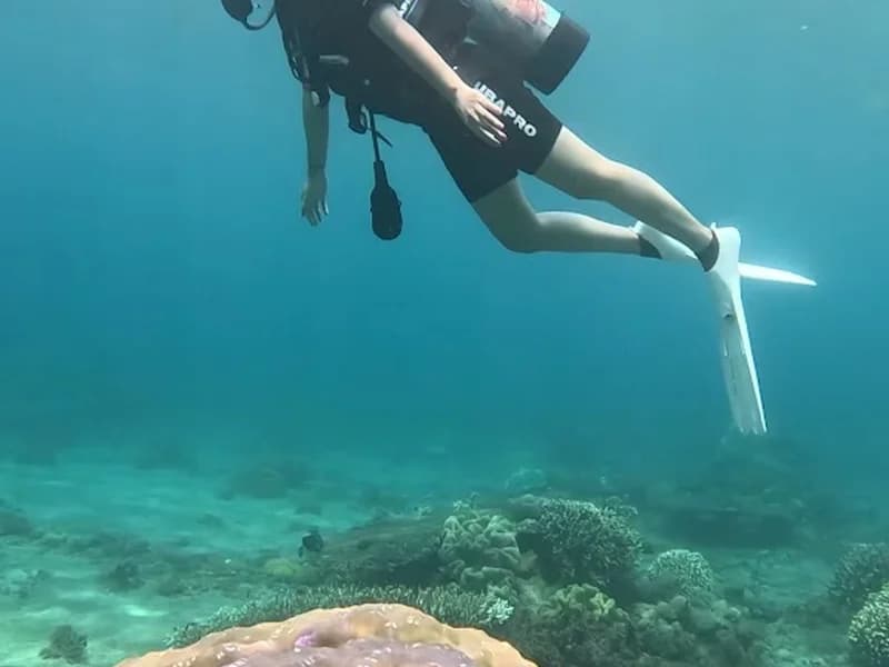 Banyuwangi Diving School