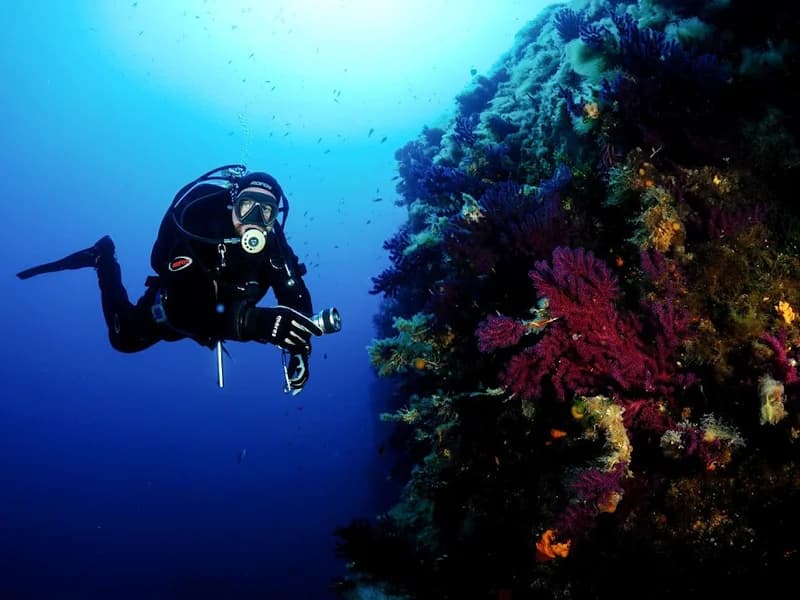 Blu Tek Diving