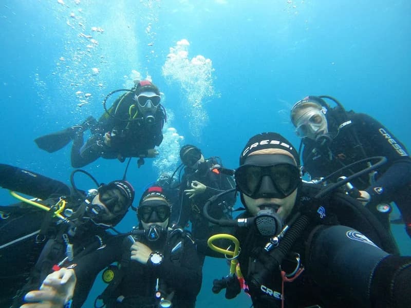Leagues Ahead Diving