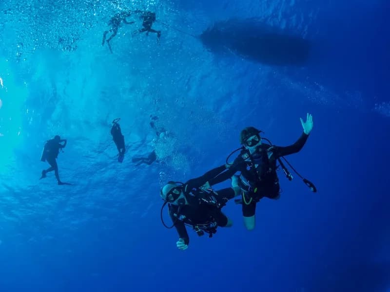 Plongée Koh Phangan Diving