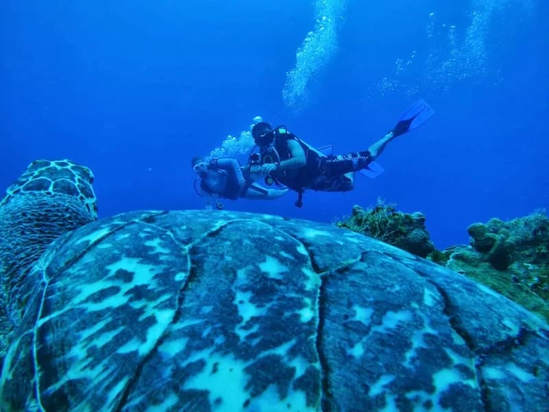 RnG Diving Services