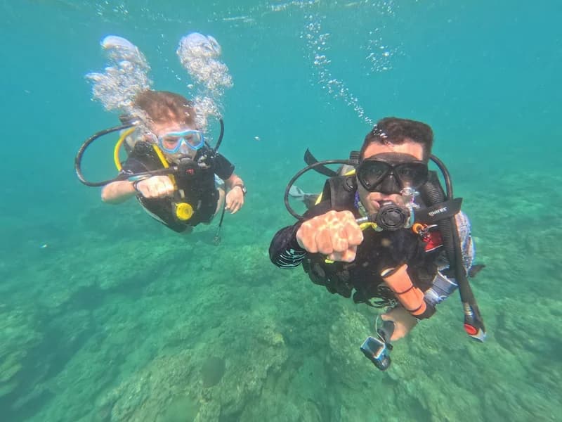 Rumblefish Adventure