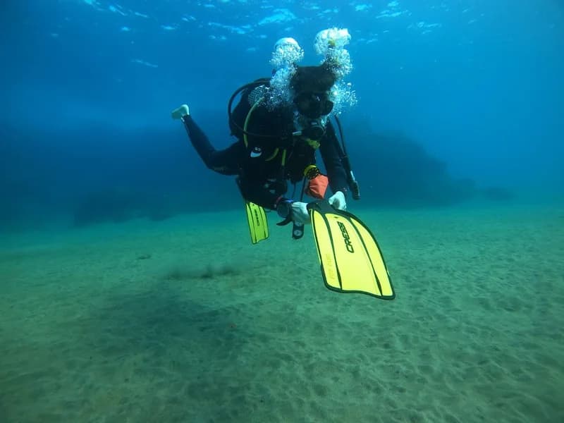 Safari Diving Lanzarote