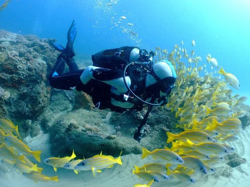 Scuba & Sail Adventures