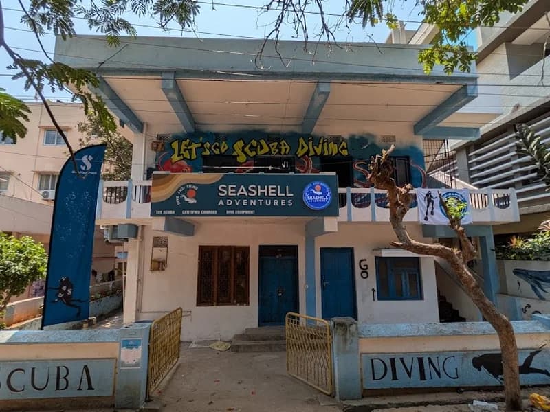 Seashell Adventures