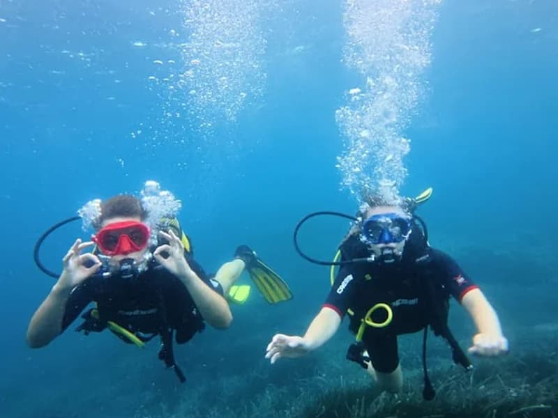 Pagaza Diving