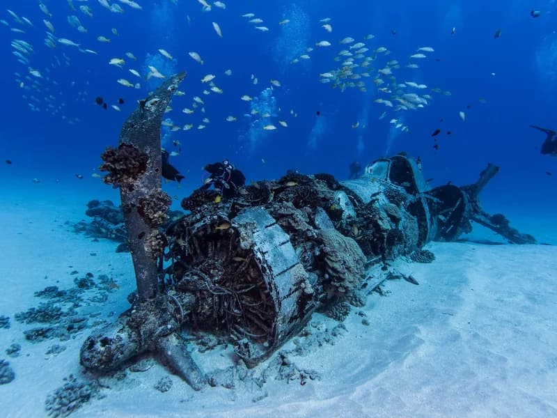 Aaron's Dive Shop