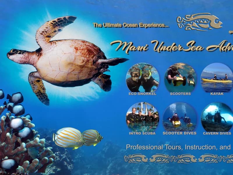 Maui Under Sea Adventures