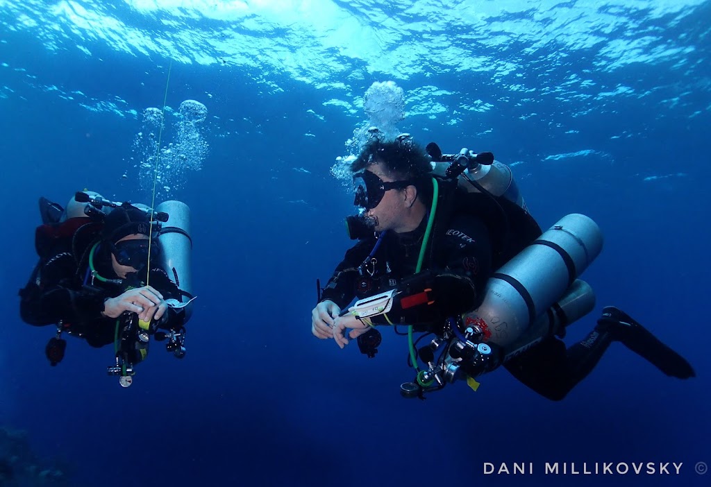 Argentina Diving