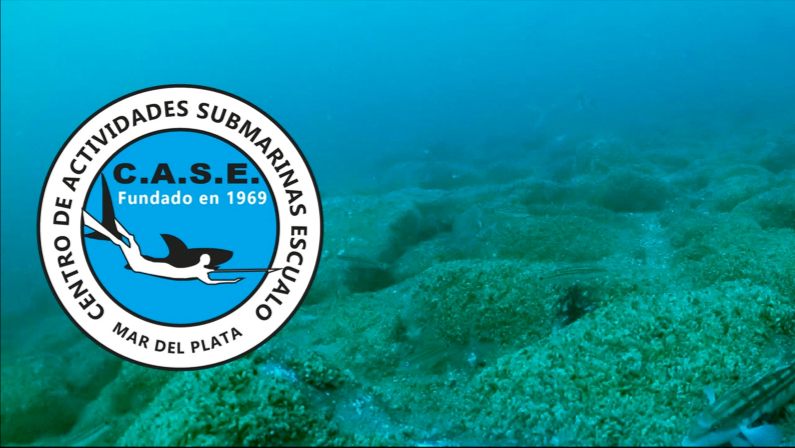 C.A.S.E Underwater Activities Center Escualo