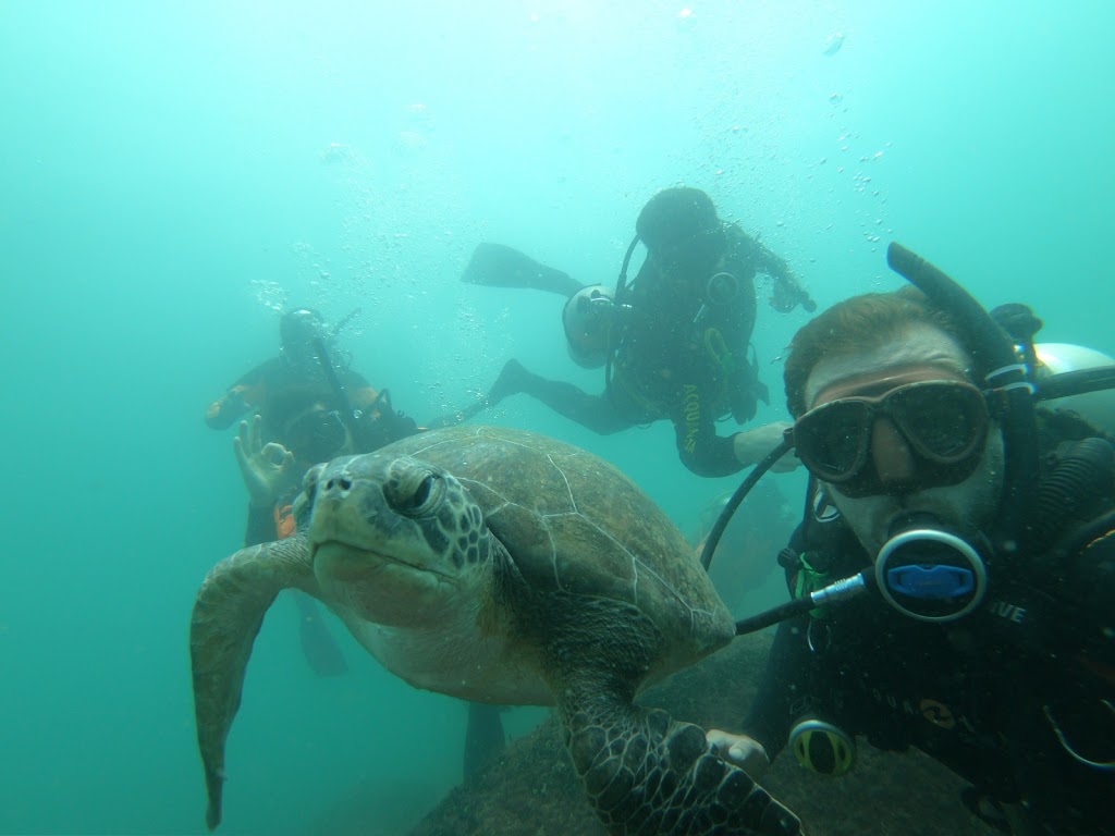Escuela De Buceo Buzos De Argentina (Bda)