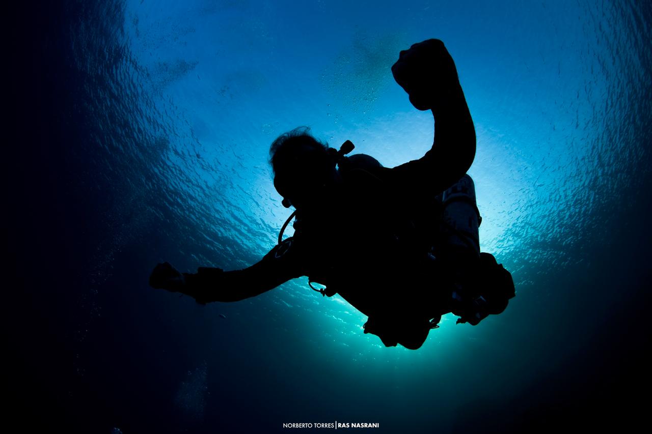 Escuela De Buceo Técnico Y Deportivo
