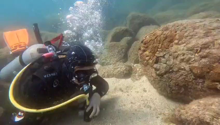 Ymca Buceo