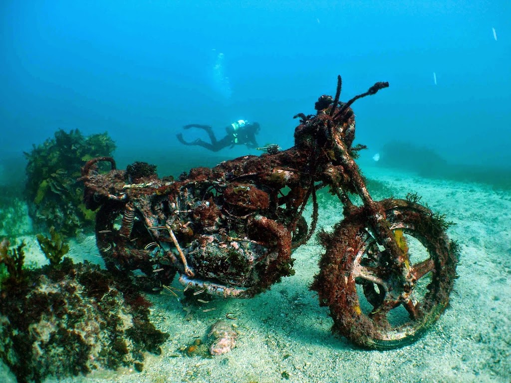 Dive Centre Manly