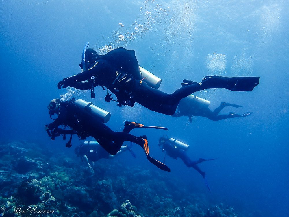 Diveline Scuba Centre