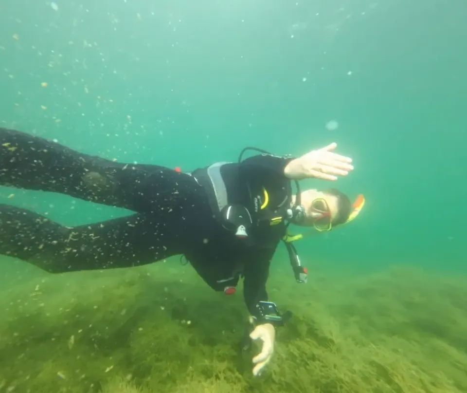 Diving.At
