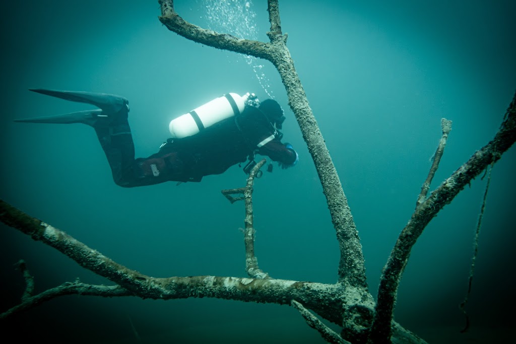 Mc Divers Tarsdorf