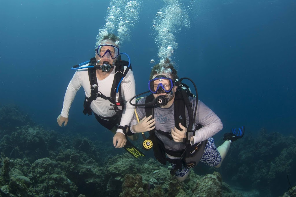Andros Diving