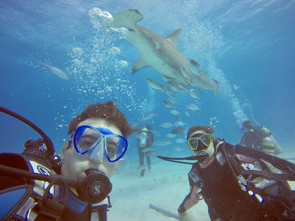 Neal Watson'S Bimini Scuba Center