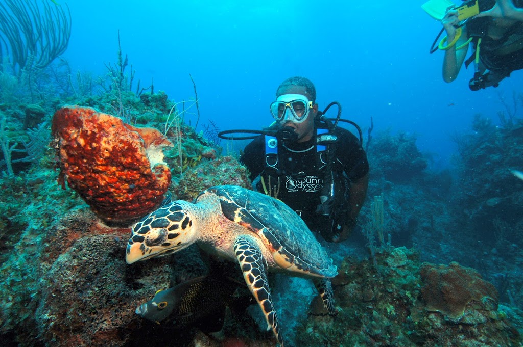 Scuba Diving Bahamas