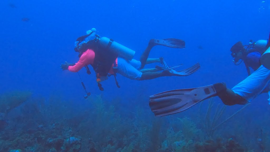 Belize Diving Adventures