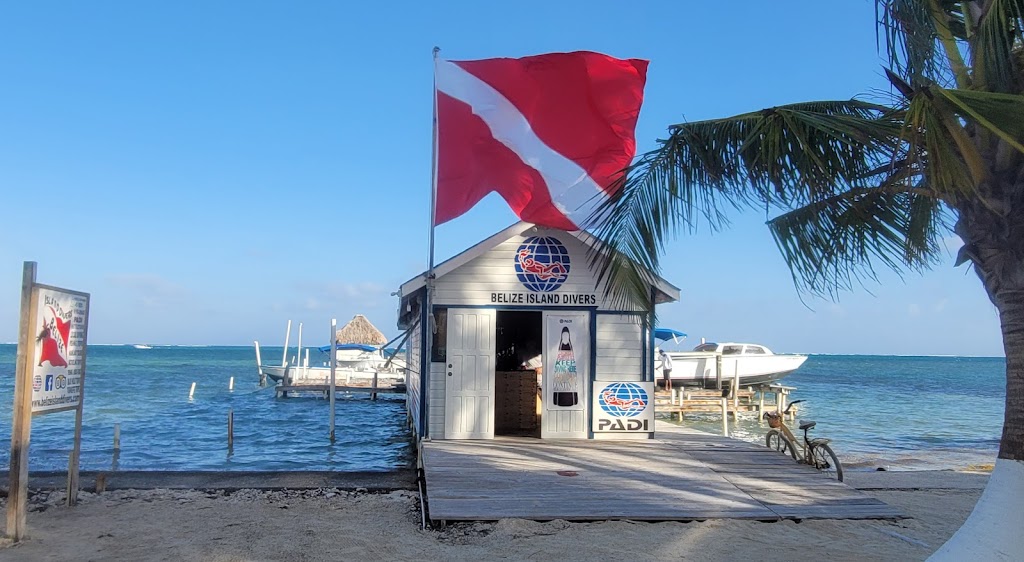 Belize Island Divers