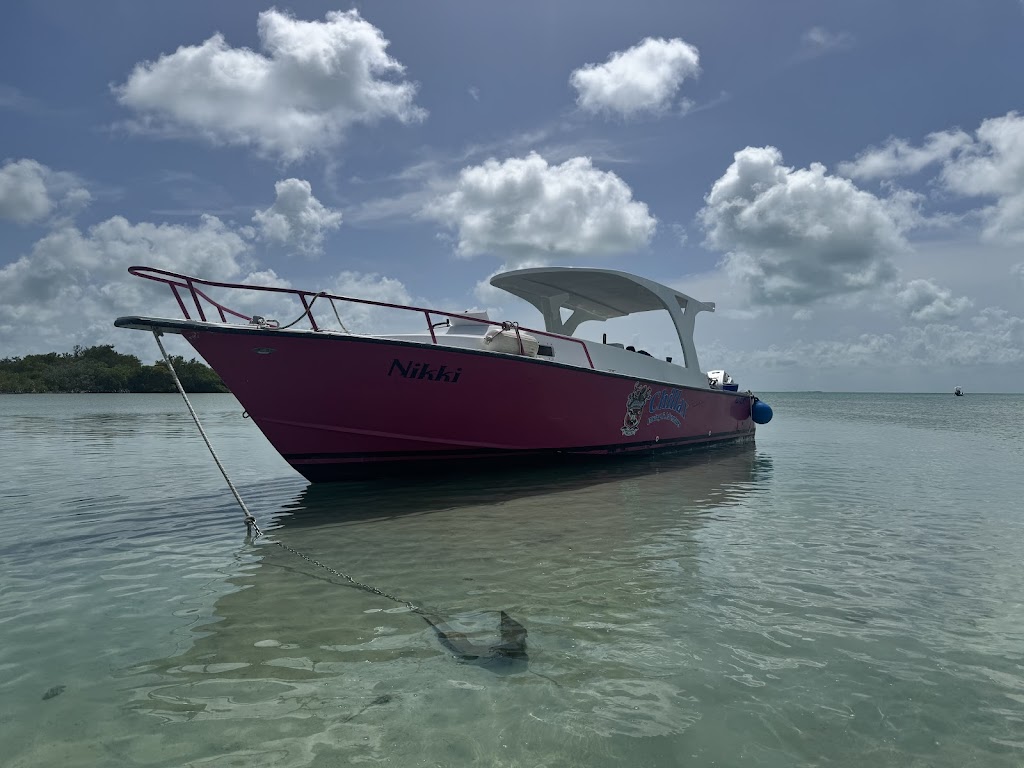 Chillax Diving And Adventures
