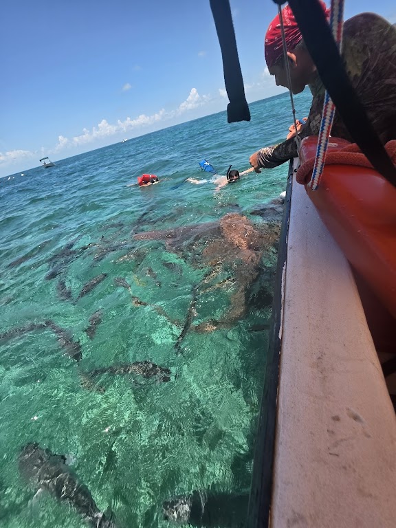 Lil Alphonse Snorkeling