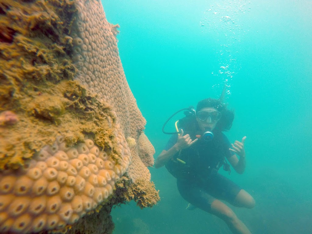 Boipeba Mergulho