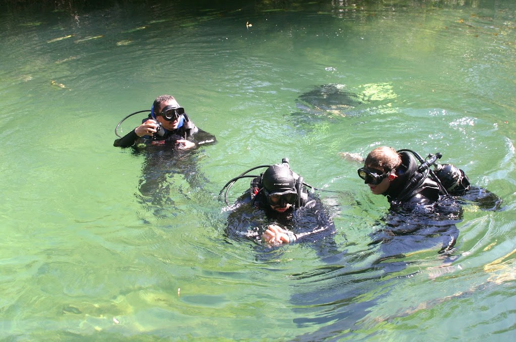 Bonito Scuba